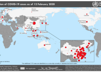 Point chaud : Covid 19 un triste anniversaire. Par Kamel Chérif