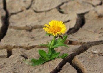 Chronique : Pour une année 2021 inscrite sous le signe de la résilience. Par Jamil Chaker