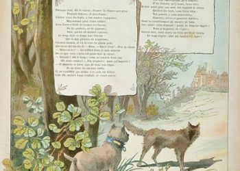 Essai : Le chien, le loup et le renard, ou du terme au lemme (Radhouan Briki)