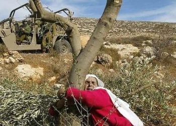 Point chaud : Le monde est coupable et comptable…  Par Kamel Chérif