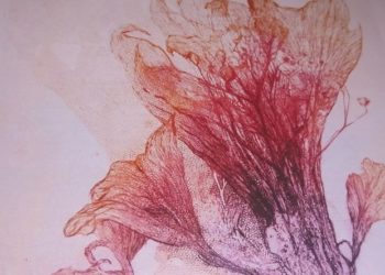 Expo à Saladin : « Jardin des rêves » de Jo Ann Morning