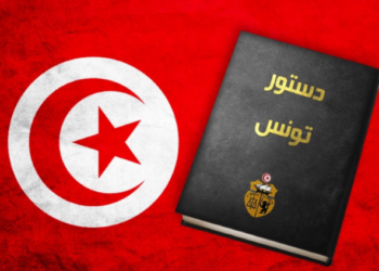 رأي حر: دستور 2014 الذي أكلته الدابة. بقلم محمد أبو هاشم محجوب