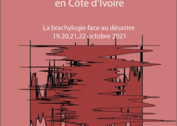 Programme du 4ème Congrès Mondial de Brachylogie à Abidjan (Côte d’Ivoire, oct. 2021)