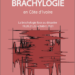 Programme du 4ème Congrès Mondial de Brachylogie à Abidjan (Côte d’Ivoire, oct. 2021)