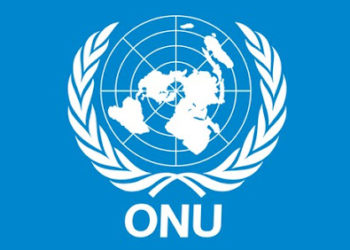 Point chaud: Changer l’ONU pour un monde qui change! Par Kamel Chérif