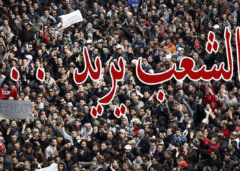 سؤال: ماذا يريد الشعب ؟ بقلم محمد أبو هاشم محجوب