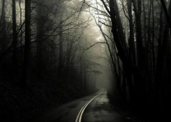 Chronique : Avenir politique sombre et pénurie d’alternatives. Par Badreddine Ben Henda