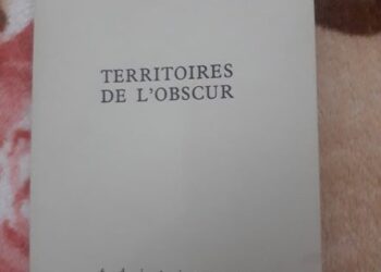 A lire d’un trait: “Territoires de l’obscur” de Marc Gontard