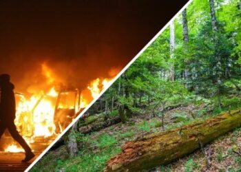 Chronique : Le monde de l’ensauvagement !    Par Mansour M’henni