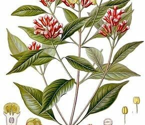 Chronilexique: D’une traitre proximité… Par Jalel El-Gharbi