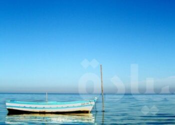 Retour encore sur la vie et la mort des associations. Par Mansour M’henni