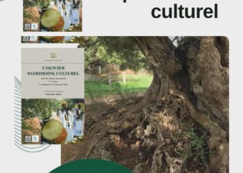 جمعية تازامورت في ضيافة الجمعية الجربية بفرنسا:   ومحاضرة لعماد بن صالح حول الزياتين المعمرة بجربة